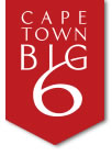 Cape Town Big 6