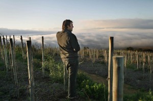 Eben Sadie in his "Hoefyster" Vineyard