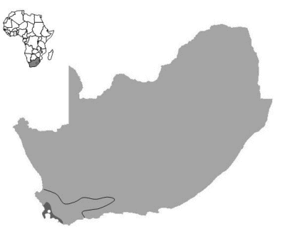 Map of South Africa