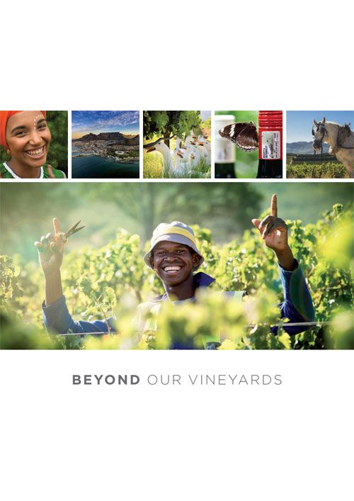 Beyond Our Vineyards e-book